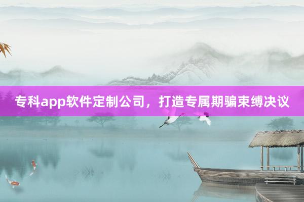 专科app软件定制公司，打造专属期骗束缚决议
