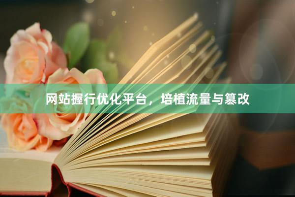 网站握行优化平台，培植流量与篡改