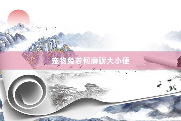 宠物兔若何磨砺大小便