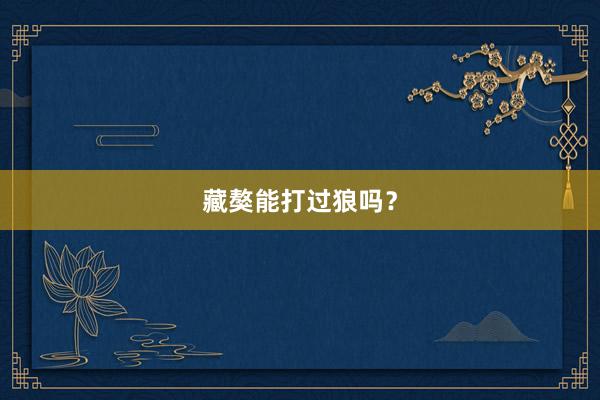 藏獒能打过狼吗?